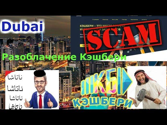 Кэшбери отзывы. Разоблачение Cashbery в Дубае!  هرم النصابين