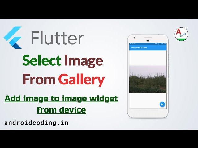 Flutter - Import image from gallery & camera | Image picker | Open Gallery | Source in Description