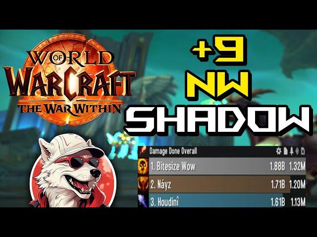 +9 Necrotic Wake Shadow Priest 1.32m Overall DPS