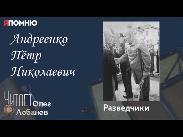 Андреенко Пётр Николаевич. Проект "Я помню" Артема Драбкина. Разведчики.