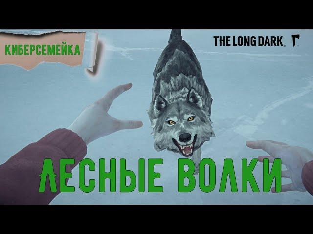 14️️️ The Long Dark ️Лесные волки. ️ Проходим ИСТОРИЮ. ️ Эпизод 3.