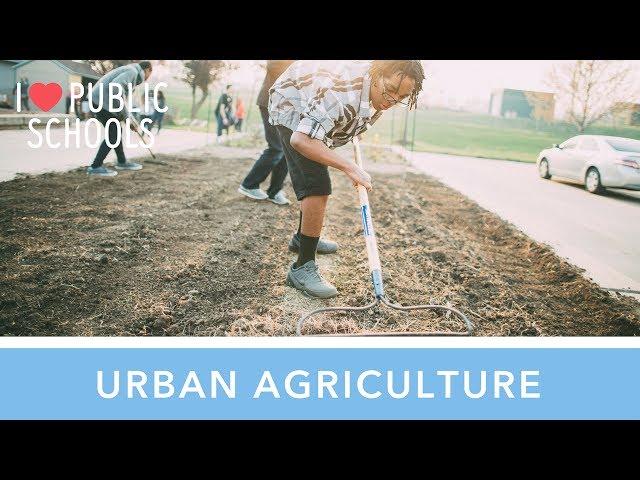 Omaha Bryan High School: Urban Agriculture Academy (HD)