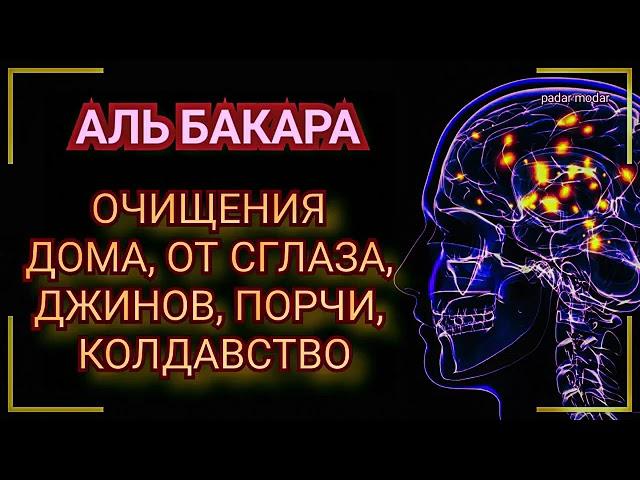 Сура АЛЬ Бакара. Очищение дома от Сглаза ДЖИНОВ порчи и колдовства