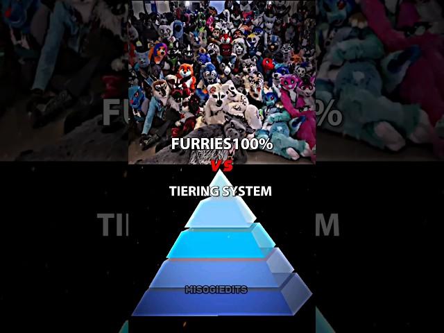 FURRIES 100% VS TIERING SYSTEM #edits #meme