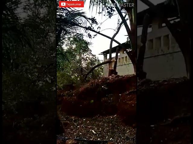 S.B.Rane Highschool,Naringre-Cleaning Outside Area-V1