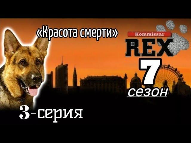 Комиссар Рекс,7 сезон,3 серия «Красота смерти»