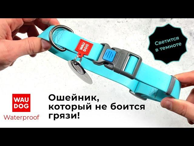 Ошейник для собак WAUDOG Waterproof c QR паспортом водостойкий светящийся пластиковая пряжка-фастекс