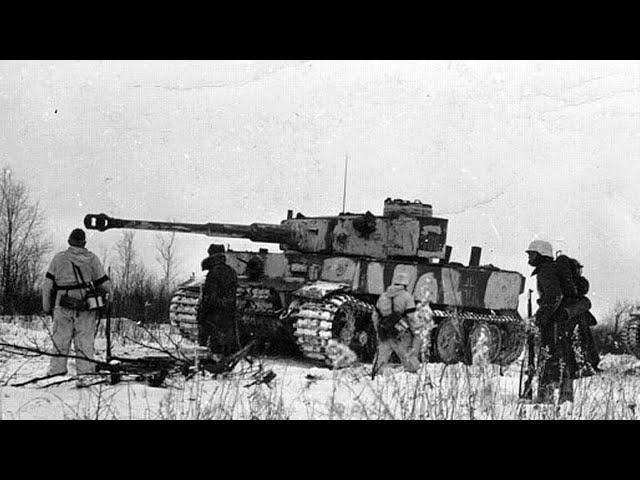 Stalingrad - Dokumentation und Zeitzeugen