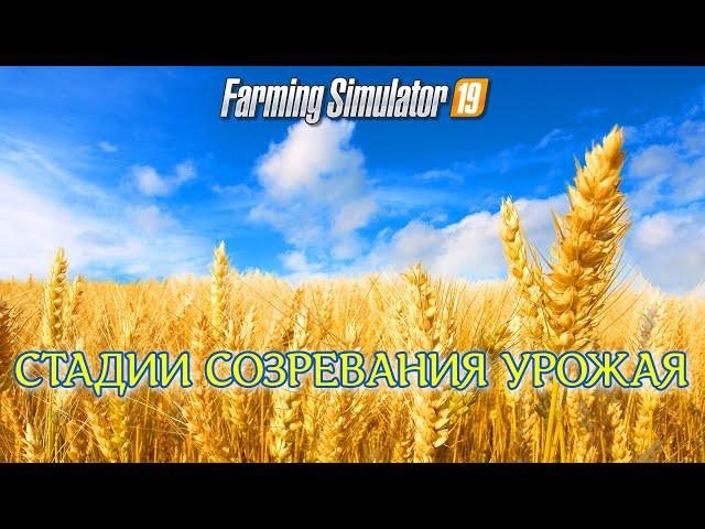 Farming simulator 2019 СТАДИИ СОЗРЕВАНИЯ УРОЖАЯ (БЫСТРЫЙ НАГЛЯДНЫЙ ТЕСТ ) 