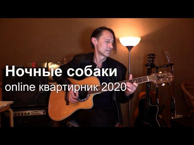 Ночные собаки (квартирник) | Саша Самойленко