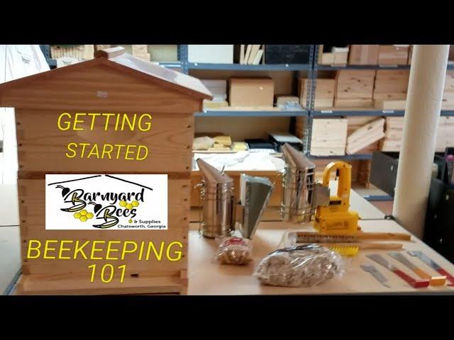 Beekeeping for beginners and what you need to get started