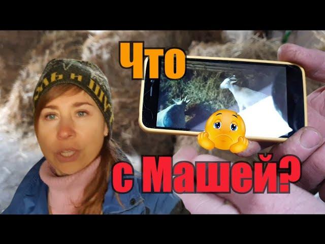 А чЁ он к тебе пришел?..//В гостях у Марата//Придумываем бизнес//А что Дзюба?