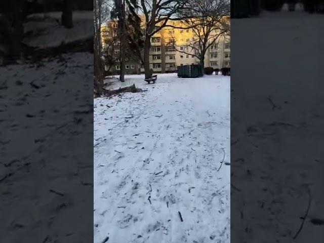 Snow in Berlin january 2022