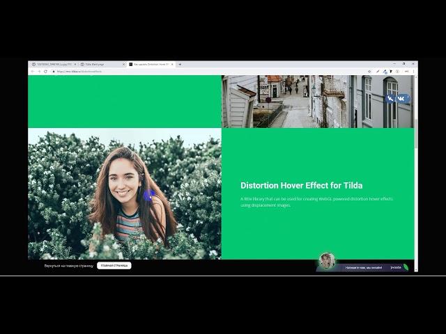 Как сделать Distortion Hover Effect для изображений в Tilda