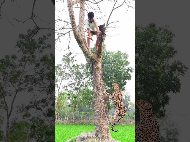 Farmer boy in attack leopard in field. #vfx #foryou #video #shorts #videos