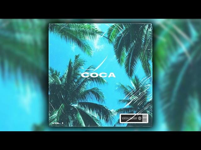 [FREE] SPACE VIBE SAMPLE PACK/LOOP KIT 2024 - "COCA" (Veigh, Vulgo FK, Tz da Coronel)