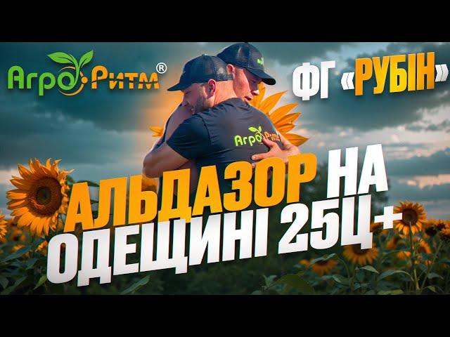 АЛЬДАЗОР 25Ц+ НА ОДЕЩИНІ!В ЧЕРГОВИЙ РАЗ НА РІВНІ З БРЕНДАМИ! ФГ "РУБІН" РЕКОМЕНДУЄ!