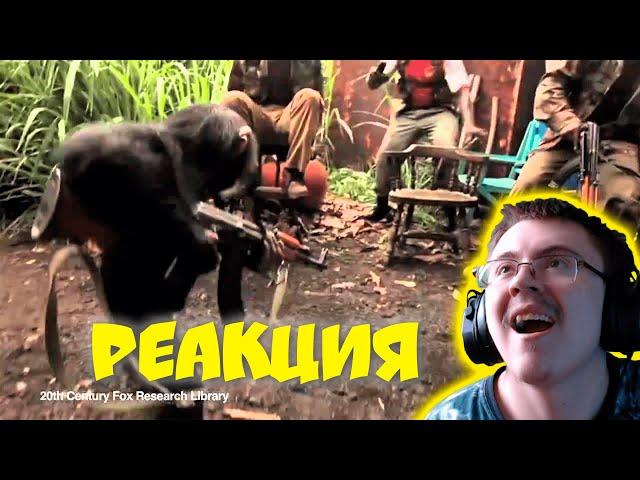 Ape With AK-47 - Обезьяна с автоматом Калашникова ( Waytoblue Russia ) | Реакция