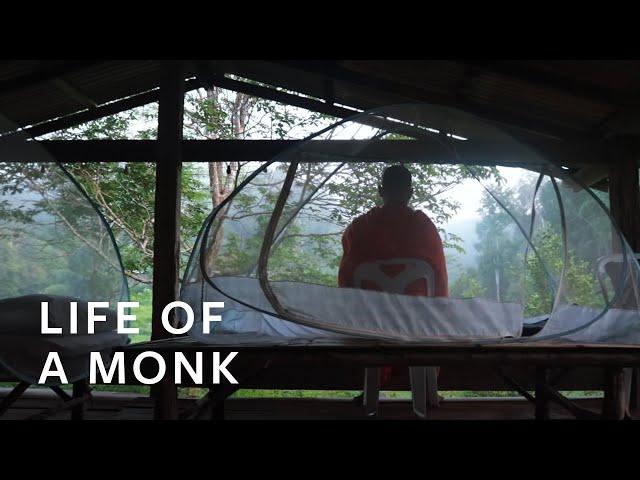 Where Do Monks Sleep? | Life of a Monk