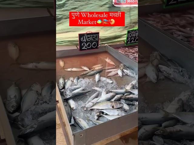 Wholesale Fish  Market Of Pune..!! #fishmarket #fish #wholesalefishmarket #puneriguide #punemarket