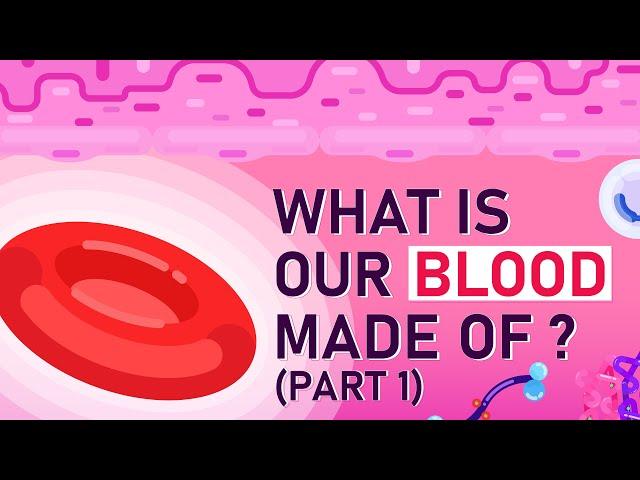 What is Our Blood Made of? Part 1 - Animated Explanation