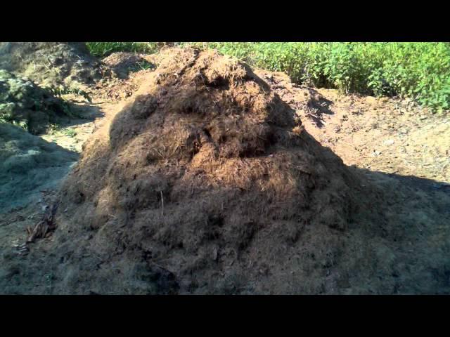 organic composting, very fast and efficient worm farming.