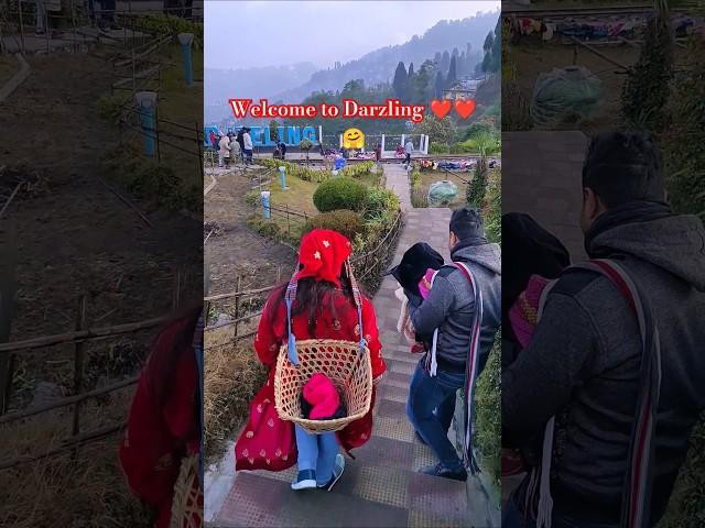 Darjeling Most Beautiful place in the world.#honeymoon #trip #husbandwifesong #shortvideo #viral