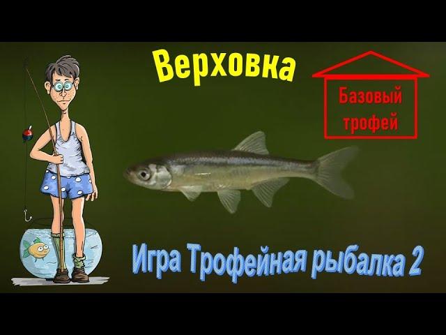 Верховка 159 грамм, базовый трофей, Трофейная рыбалка 2, река Волга, локация База