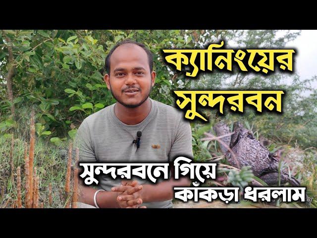 সুন্দরবনে গিয়ে কাঁকড়া ধরলাম | ক্যানিংয়ের সুন্দরবন | মাতলা নদী