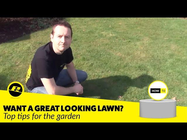 How to Get the Perfect Lawn: Garden Top Tips