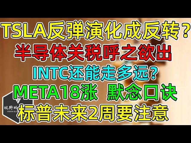 美股 TSLA反弹会演化成反转吗？半导体关税呼之欲出！INTC还能走多远？META连涨创历史记录！标普未来2周历史回报不佳！