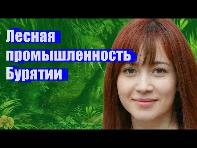 Лесная промышленность Бурятии