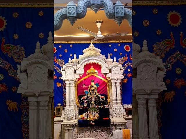Jai ranchhodrai #ranchodrai #kanudo #jagannath #krishnaradhalove #viralvideo