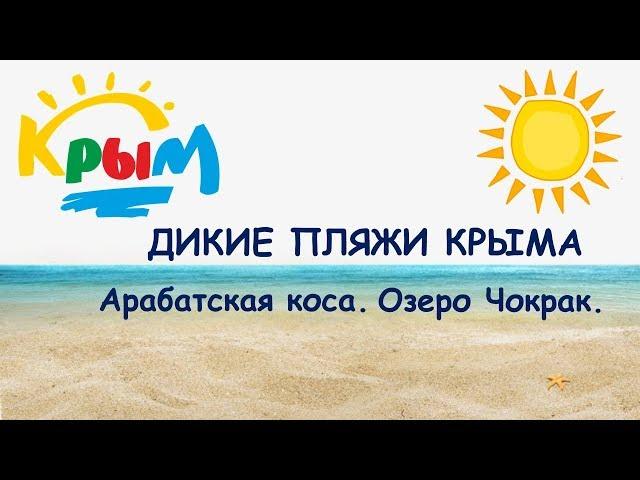 ДИКИЕ ПЛЯЖИ КРЫМА 2018. Арабатская коса. Озеро Чокрак.