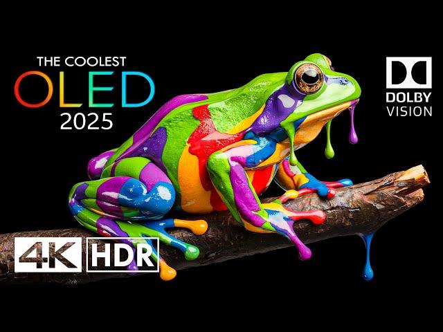 REAL 4K HDR 120 FPS Dolby Vision - 4K Video ULTRA HD