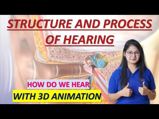 HUMAN EAR- STRUCTURE AND WORKING || WITH 3D ANIMATION || UNDERSTANDING THE SOUND JOURNEY