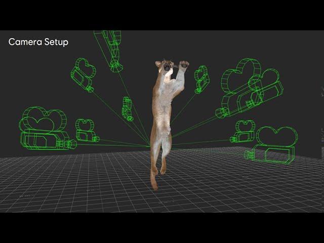 Ubisoft China AI & Data Lab | ZooBuilder: 2D and 3D Pose Estimation for Quadrupeds