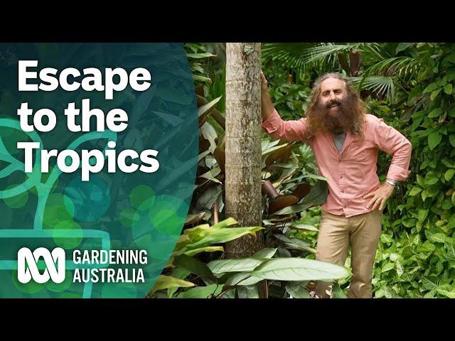 Escape To The Tropics | Discovery | Gardening Australia