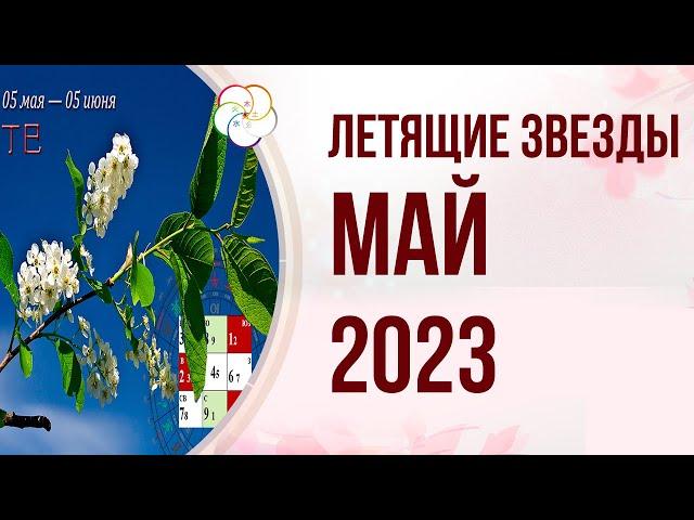 ФЭНШУЙ 2023: Прогноз по Летящим Звездам на МАЙ 2023