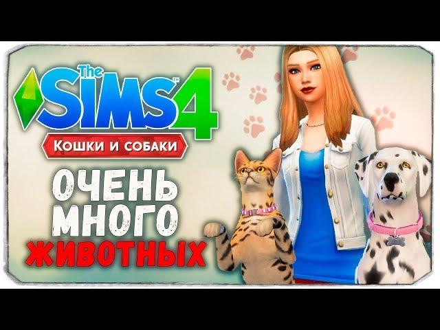 100 ПИТОМЦЕВ - The Sims 4 "Кошки и Собаки" ЧЕЛЛЕНДЖ