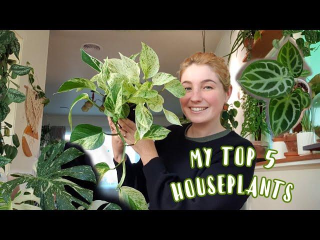 5 HOUSEPLANTS I AM LOVING RIGHT NOW // NZ