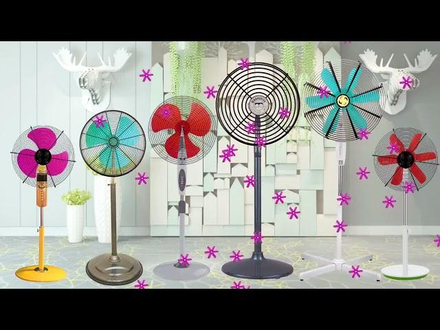 Add a Pop of Color to Your Home with Our Vibrant Fans