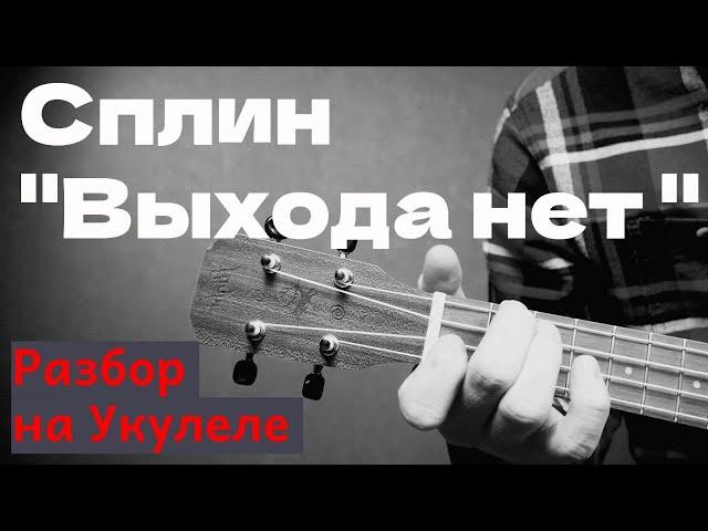 Сплин "Выхода нет" точные аккорды на укулеле (+бой для новичков)