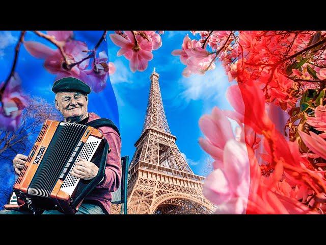 French Accordion  Romantic French instrumental music in a cafe in Paris with 4k video