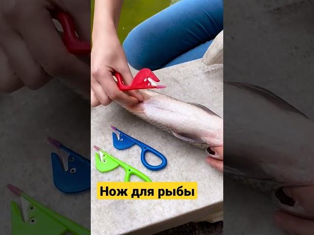 Нож для чистки рыбы | Fish cleaning knife