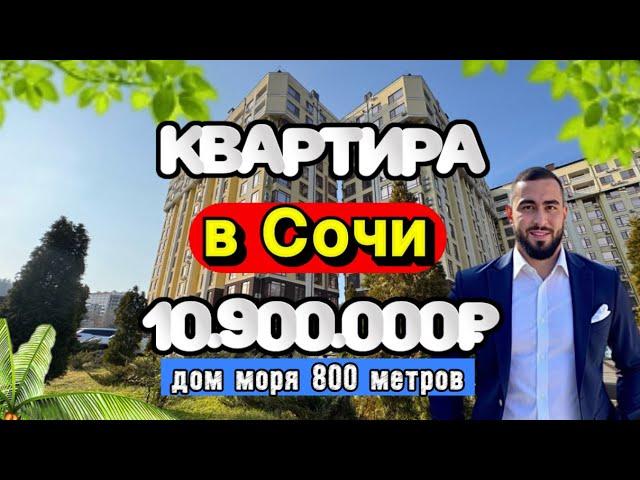 Mini Квартира в Сочи | 10.900.000₽ | ЖК КВАТРО | #сочинедвижимость #квартирауморя