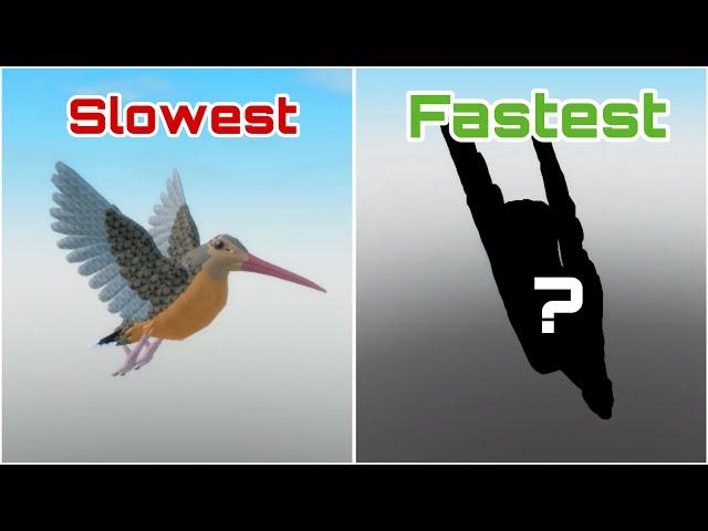 What’s The Fastest Flying Bird? (Roblox Feather Family)