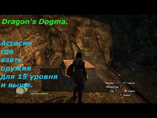 Dragon's Dogma.Оружие для ассасина.