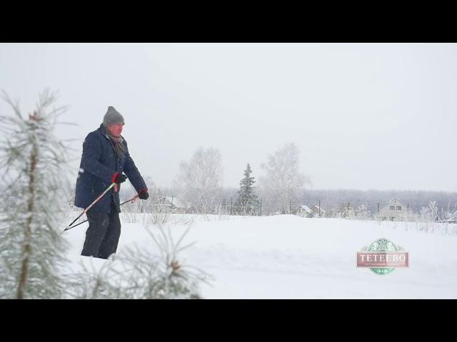 Коттеджный поселок "Тетеево" зимой