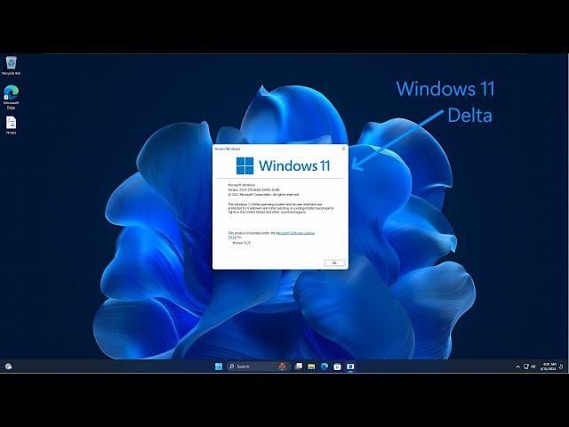 Windows 11 Delta Edition: the best Windows 11 mod